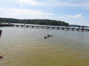 IMG 0619