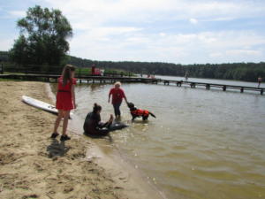 IMG 0622