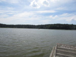 IMG 0636