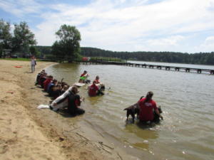 IMG 0651