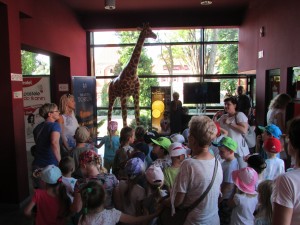 IMG_0909 (1)