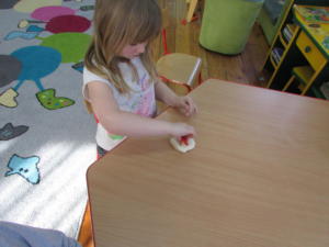 IMG 4535