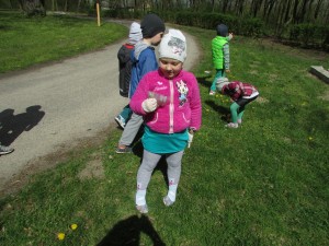 IMG_1592   