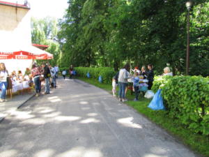 IMG 0291
