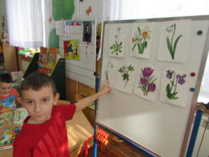 IMG 4673