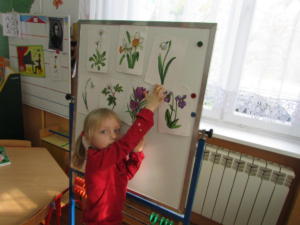 IMG 4674