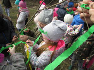 IMG 4771