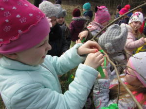 IMG 4772