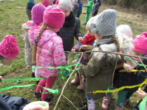IMG 4774