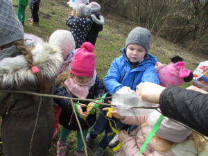 IMG 4775