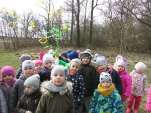 IMG 4781