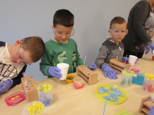 IMG_3562 