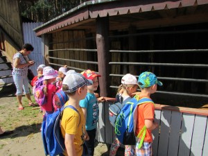 IMG_1960
