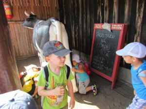 IMG_1965