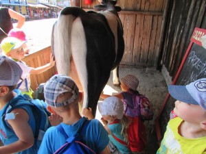 IMG_1966