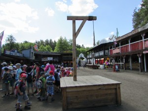 IMG_2003
