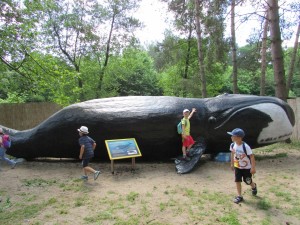 IMG_2031