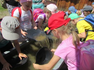 IMG_2161