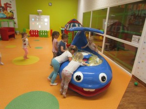 IMG_6306