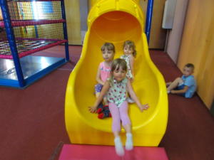 IMG 0533
