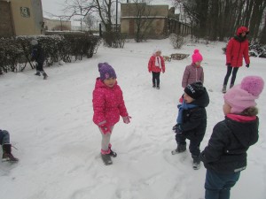 IMG_1113