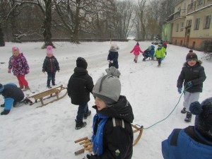 IMG_1134