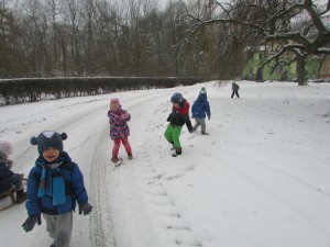 IMG_1156